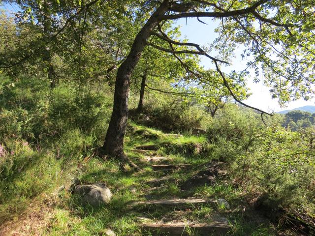 die wilde Natur im Tessin ist einfach sehr schön