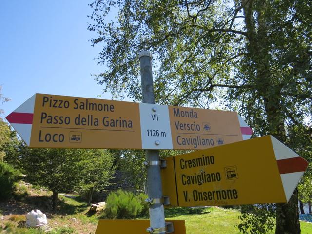 Wegweiser auf Vii 1126 m.ü.M. unser Ziel heisst weiterhin Pizzo Salmone