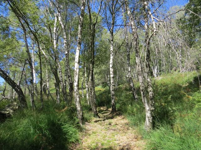 auf dem Weg nach Testa. Weit und breit niemand zu sehen