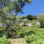 schweisstreiben ist das Stück kurz vor Testa