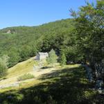 Blick auf Forcla 1382 m.ü.M. Alles durch den Wald geht es zu Punkt 1479 m.ü.M. und danach rechts hinauf zu Punkt 1552 m.ü.M.