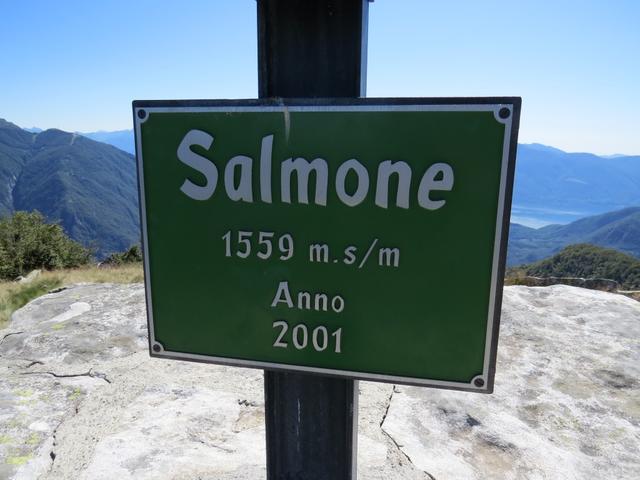 bei Punkt 1552 m.ü.M. schwenkten wir rechts ab und erreichten über einen grasigen Rücken der Pizzo Salmone