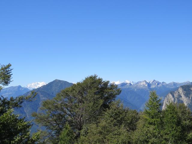 links das Monte Rosa Massiv. Rechts Alphubel, Täschhorn, Dom und Fletschhorn