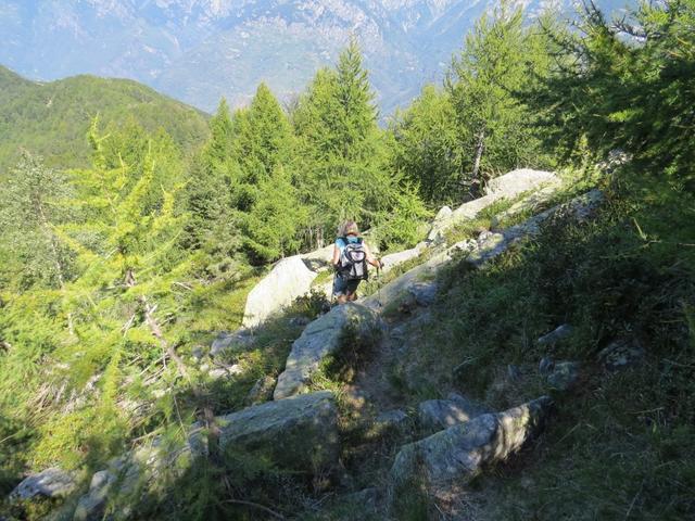 von Punkt 1552 m.ü.M. geht alles am breiten Grat entlang nach Pizen