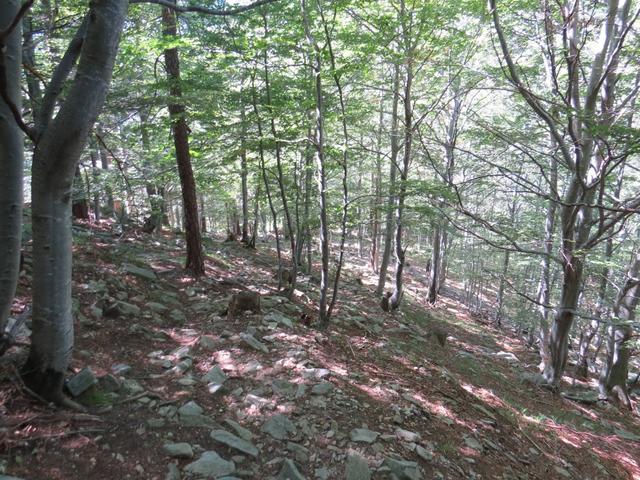 der Weg und die Markierungen sind nicht überall gut ersichtlich. Kurz nach Legunc 1244 m.ü.M.