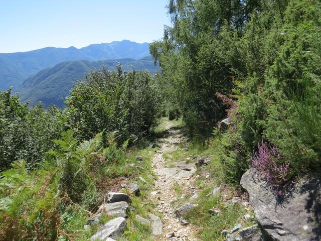 wir haben Costa da Chignell 965 m.ü.M. erreicht