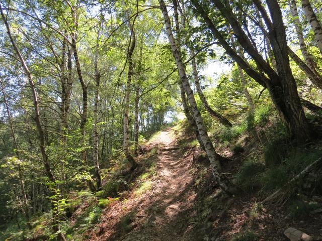 im Wald von Brusiscio, kurz vor Sella