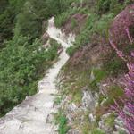 ein super schön ausgebauter Wanderweg