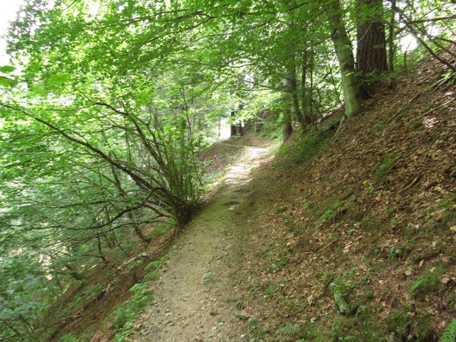 unsere schöne einfache Wanderung geht weiter. Unser nächstes Ziel lautet nun: Verdasio