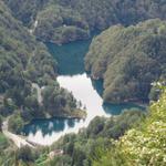 Blick auf den Stausee Lago di Palagnedra