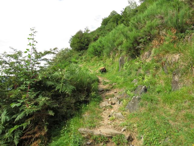 über grosse Schlaufen führt der Weg weiter aufwärts