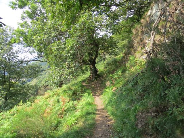 wird befinden uns nun auf einem sehr schöne Teilstück der Wanderung. Die Aussicht ist einfach genial