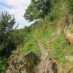 der Wanderweg führt einem oberhalb von Cassina hinauf Richtung Corona dei Pinci