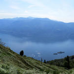 schönes Breitbildfoto vom Lago Maggiore mit dem Monte Gambarogno. Dort oben waren wir auch schon