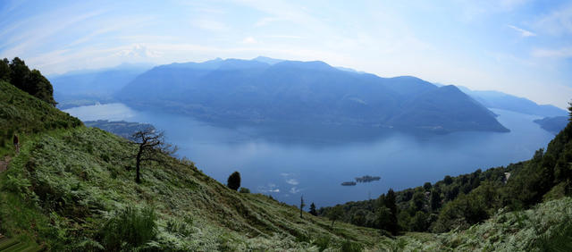 schönes Breitbildfoto vom Lago Maggiore mit dem Monte Gambarogno. Dort oben waren wir auch schon