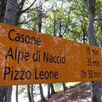 bei der Weggabelung Punkt 1273 m.ü.M. zurückgekehrt, geht es nun weiter Richtung Alpe di Naccio