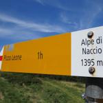 Wegweiser auf der Alpe di Naccio 1395 m.ü.M.