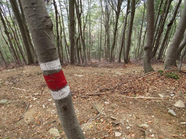 bei Piancaccia geht es so richtig steil abwärts. Wenn man im Tessin wandert, muss man dies in Kauf nehmen