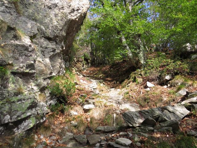 nach Punkt 1309 m.ü.M. wird der Bergweg ein bisschen ruppig