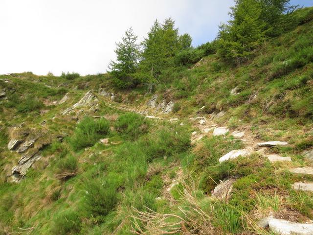 der Wanderweg umgeht links den Gipfel des Pianascio