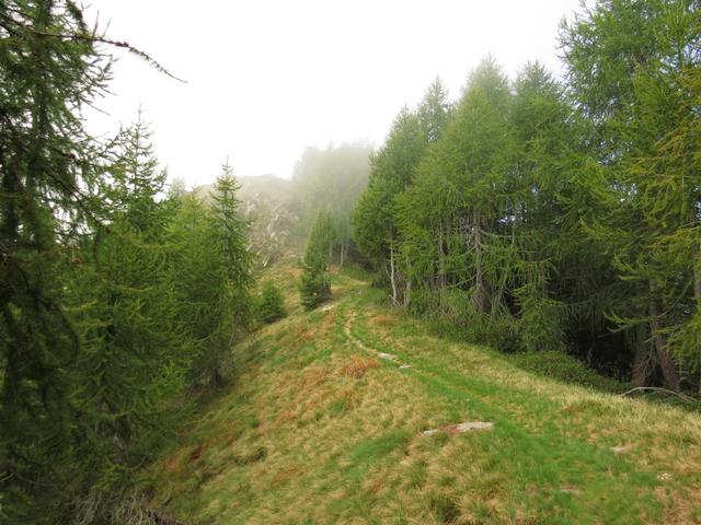 weiter geht unsere Wanderung Richtung Pizzo Ruscada