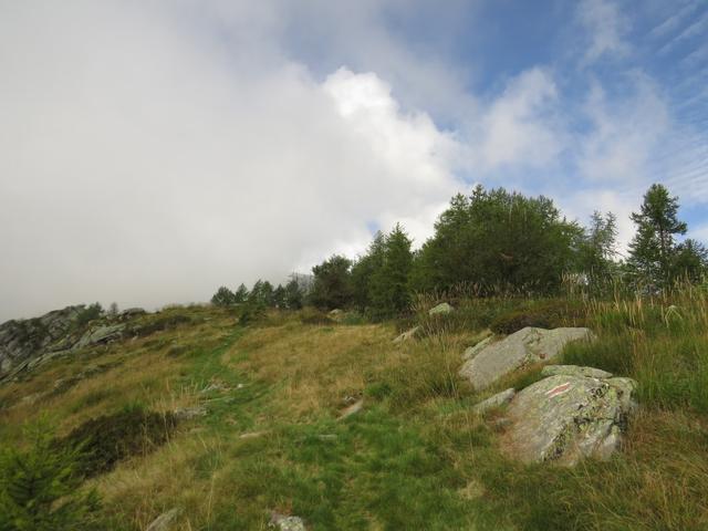 in leichtem Auf und Ab geht es weiter Richtung Corte Nuovo 1635 m.ü.M.