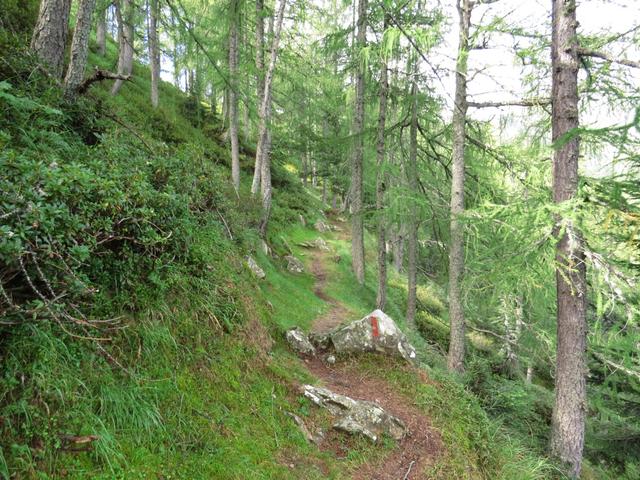 der Weg senkt sich nach Corte Nuovo rechts vom Grat weg