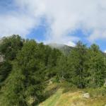 Blick hinauf zum Pizzo Ruscada. Hier werden wir nach dem Abstieg vom Pizzo Ruscada ankommen