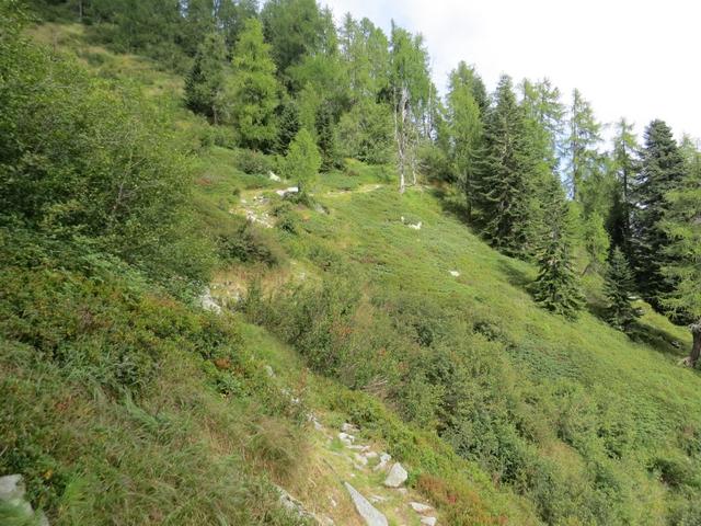 der Wanderweg überquert jetzt die Flanke des Pizzo Ruscada auf fast gleichbleibender Höhe