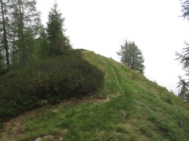 wir biegen wieder in den normalen Wanderweg ein