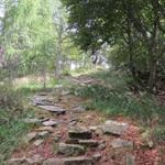 bei dieser Wanderung macht man viele Höhenmeter es geht Auf und Ab