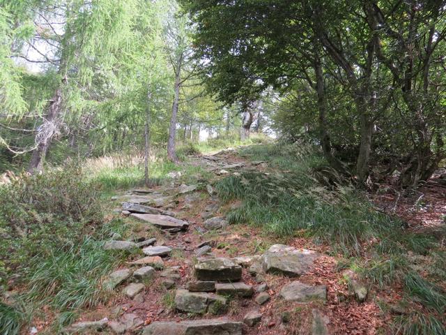 bei dieser Wanderung macht man viele Höhenmeter es geht Auf und Ab