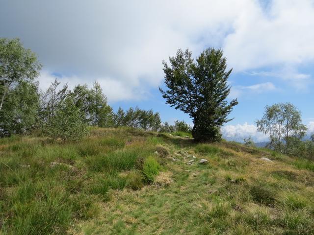 beim Pizzin 1510 m.ü.M.