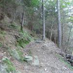 wie üblick im Tessin, führt der Wanderweg sofort in den Wald und sofort steil aufwärts