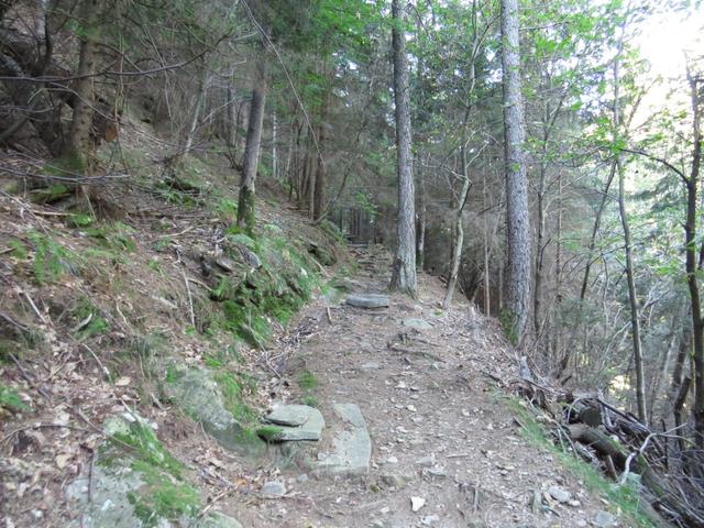 wie üblick im Tessin, führt der Wanderweg sofort in den Wald und sofort steil aufwärts