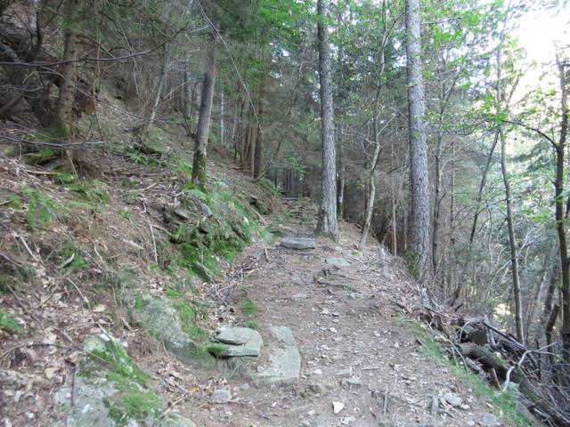 wie üblick im Tessin, führt der Wanderweg sofort in den Wald und sofort steil aufwärts