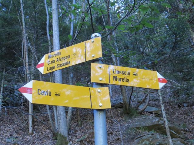 wir biegen links ab Richtung Lago Sascola. Von rechts werden wir auf dem Rückweg kommen