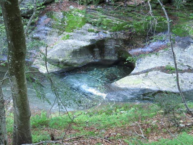 auf der orographisch linken Seite des Ri di Sascòla wandern wir weiter aufwärts