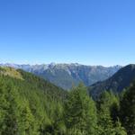 Blick Richtung Valle Maggia