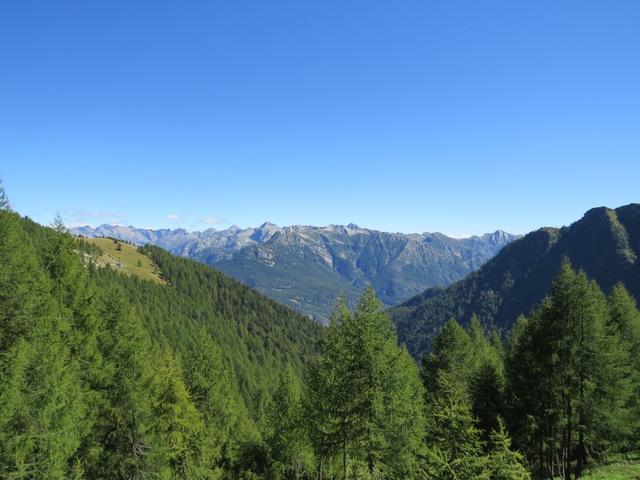 Blick Richtung Valle Maggia