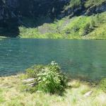 am Ufer des Lago di Sascola Punkt 1739 m.ü.M. am Fusse des Pizzo Mezzodi und Pizzo Alzasca