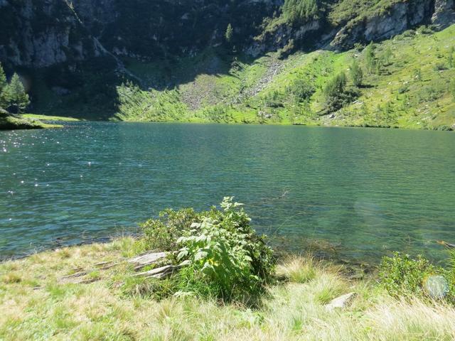 am Ufer des Lago di Sascola Punkt 1739 m.ü.M. am Fusse des Pizzo Mezzodi und Pizzo Alzasca