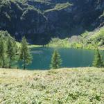 ein letzter Blick zurück zum Lago di Sascola