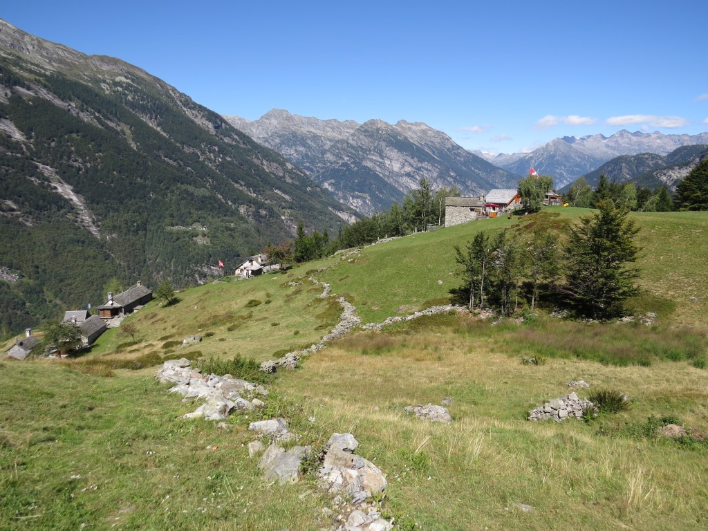 wir haben die schöne Alp mit seinen Rustici auf Rotonda 1268 m.ü.M. erreicht