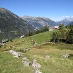 wir haben die schöne Alp mit seinen Rustici auf Rotonda 1268 m.ü.M. erreicht