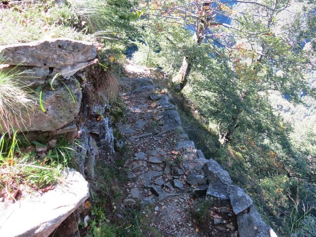 immer wieder unglaublich zu sehen, wie die Wege im Tessin an diesen steilen Hängen erbaut wurden