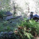 mitten im dichten Wald, taucht vor uns die verlassene Siedlung von Tacitt auf