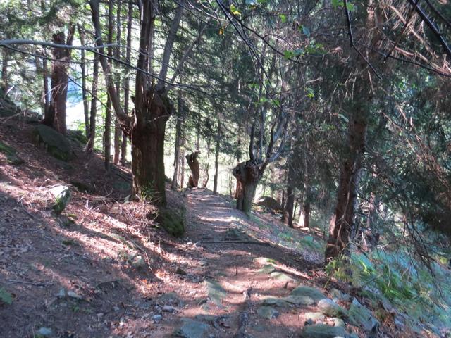 auf dem Weg nach Cevio. Eine eindrucksvolle Wanderung geht zu Ende