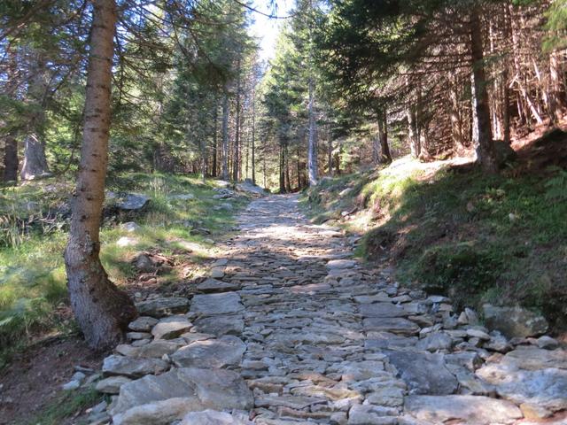 auf einem breiten einfachen Wanderweg laufen wir durch Wälder Richtung Pian di Nar