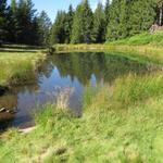 beim kleinen See auf Pian di Nar